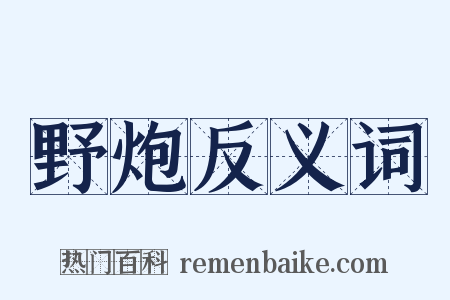 野炮反义词是什么意思的图片